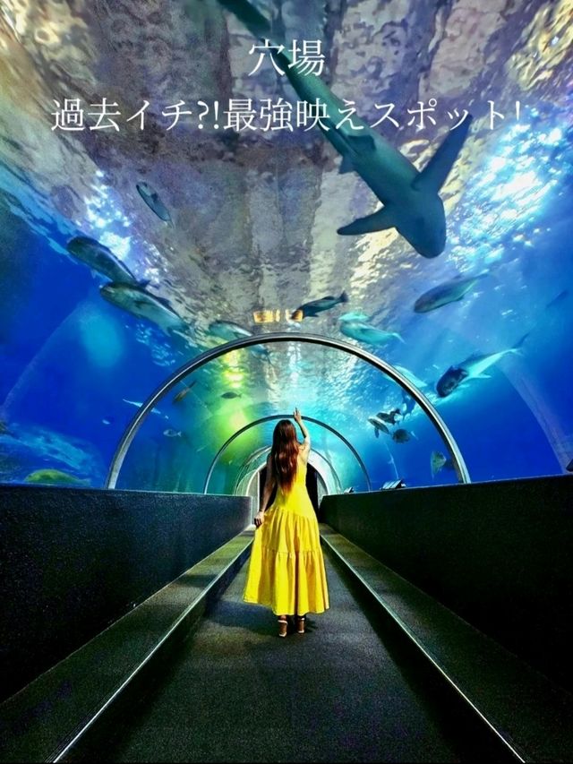 【和歌山/映えスポット】穴場最強映えスポ