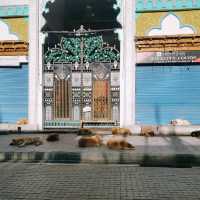 Leh Market - most energetic place in Ladakh