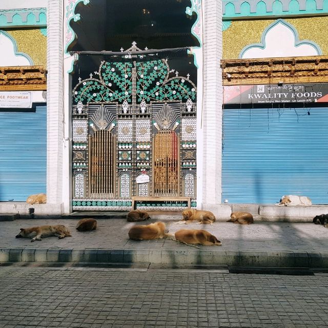Leh Market - most energetic place in Ladakh
