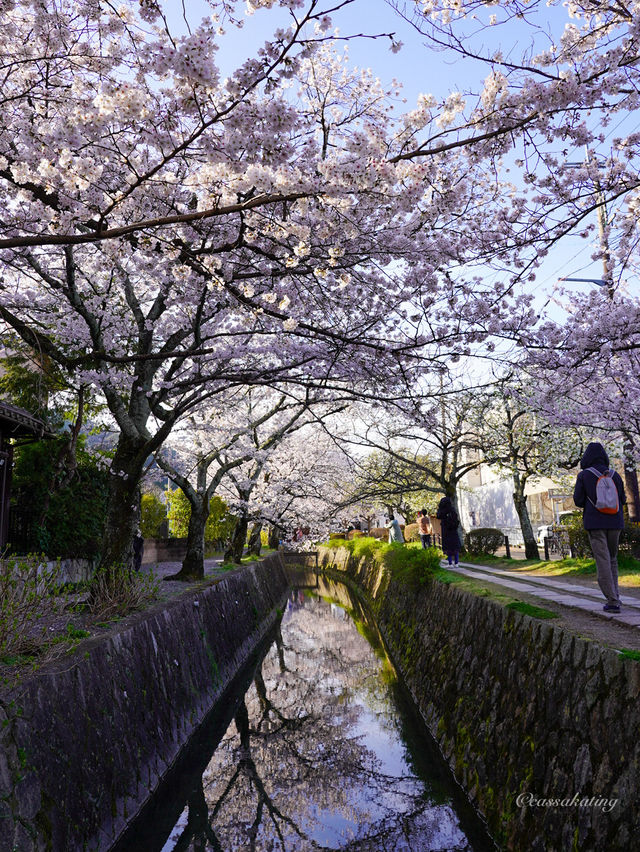 Is this the best spot in Kyoto?