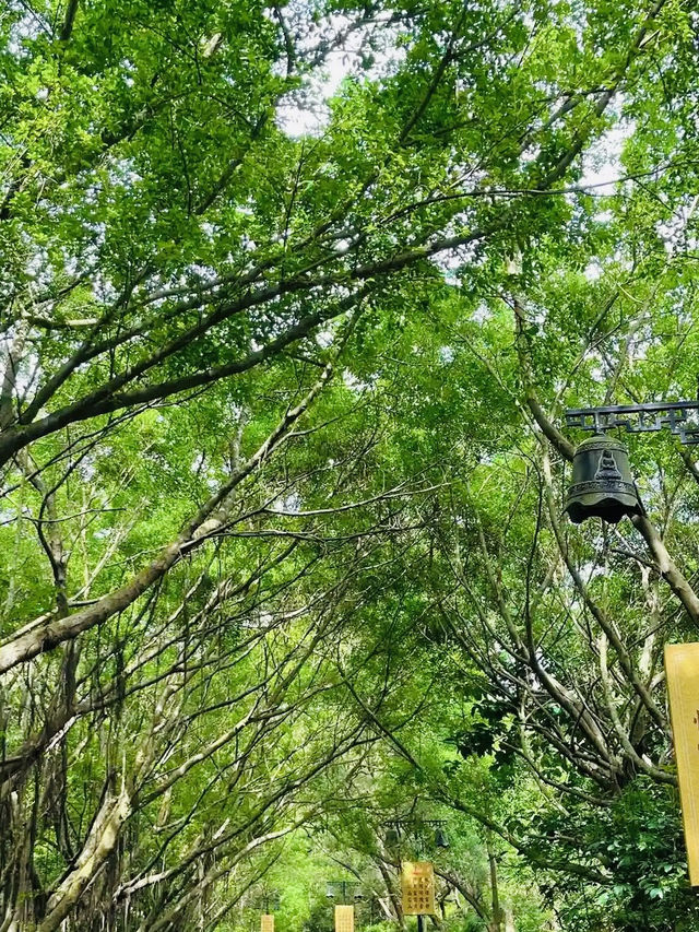 金台寺🙉珠海絕美景色🤓2日1夜景點推薦🙈