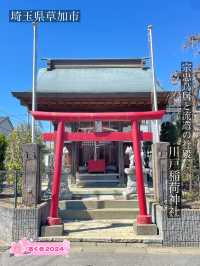 【川戸稲荷神社/埼玉県】宗忠鳥居と流造の社殿