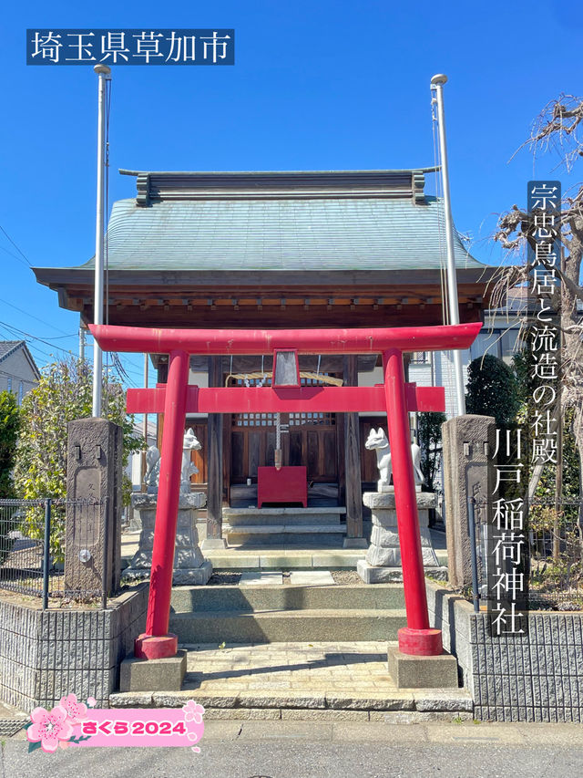 【川戸稲荷神社/埼玉県】宗忠鳥居と流造の社殿