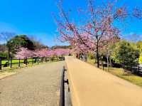 Umami-kyuryo Park 