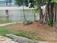 เที่ยวบึงฉวาก