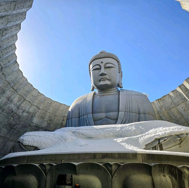 일본여행 안도다다오가 건축한 삿포로의 두대불전 頭大仏殿