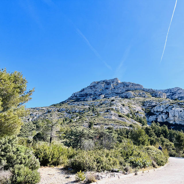 Sugiton Trek: Unveiling Marseille's Coastal 