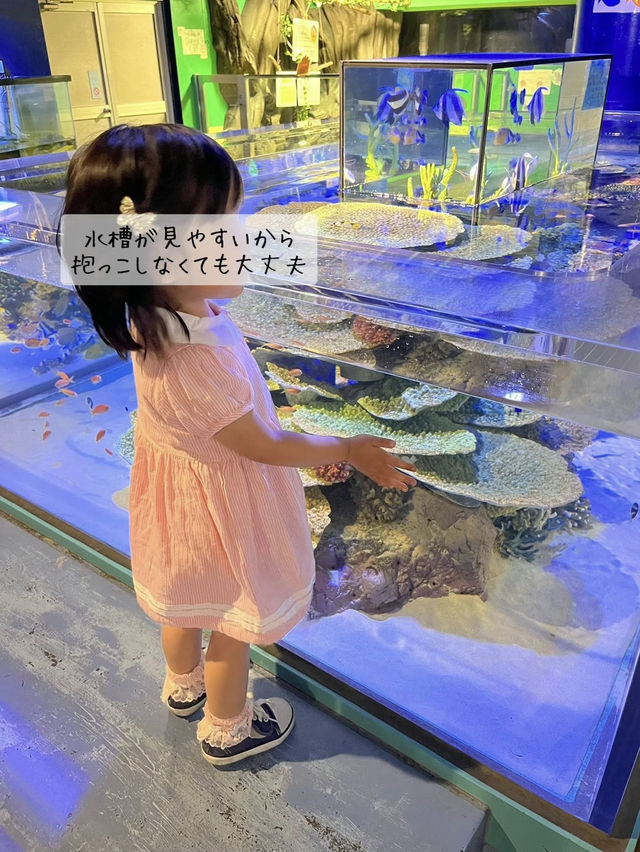 たった900円？！超絶楽しい水族館