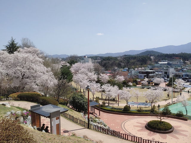 Namsan Park in Gangneung