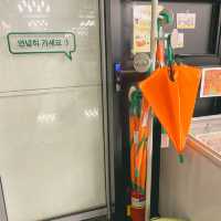 애월 해안도로의 유일무이 대형 소품샵&기념품샵이 여기🍊