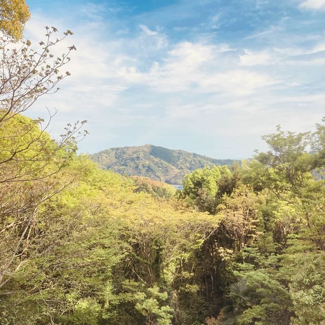 四季折々の花が見られる！牧野植物園