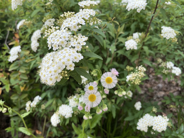 【都庁の隣の癒し公園★】新宿中央公園