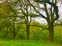 Kenwood House stands as illustrious past 🏴󠁧󠁢󠁥󠁮󠁧󠁿