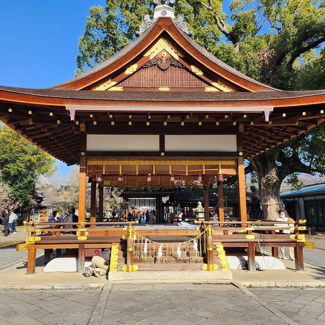 京都最美的賞櫻聖地🌸—平野神社⛩️