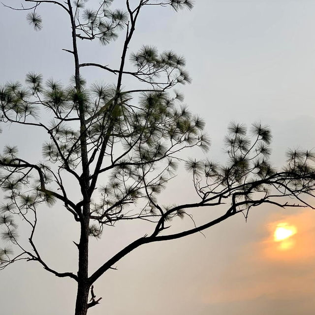 Explore the Wonders of Pai Canyons and hot springs ! 🌿