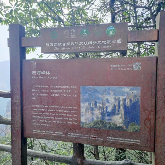 Day hike at Zhangjiajie National Park