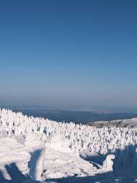 日本東北·山形縣藏王樹冰