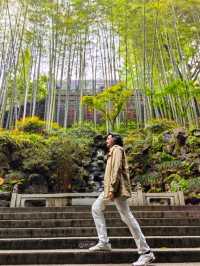 The Majestic LingYin Temple 