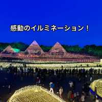 【三重】感動のイルミネーションと美しい花たち