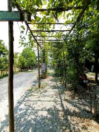 ร้านอาหารบรรยากาศดีย่านนครนายก