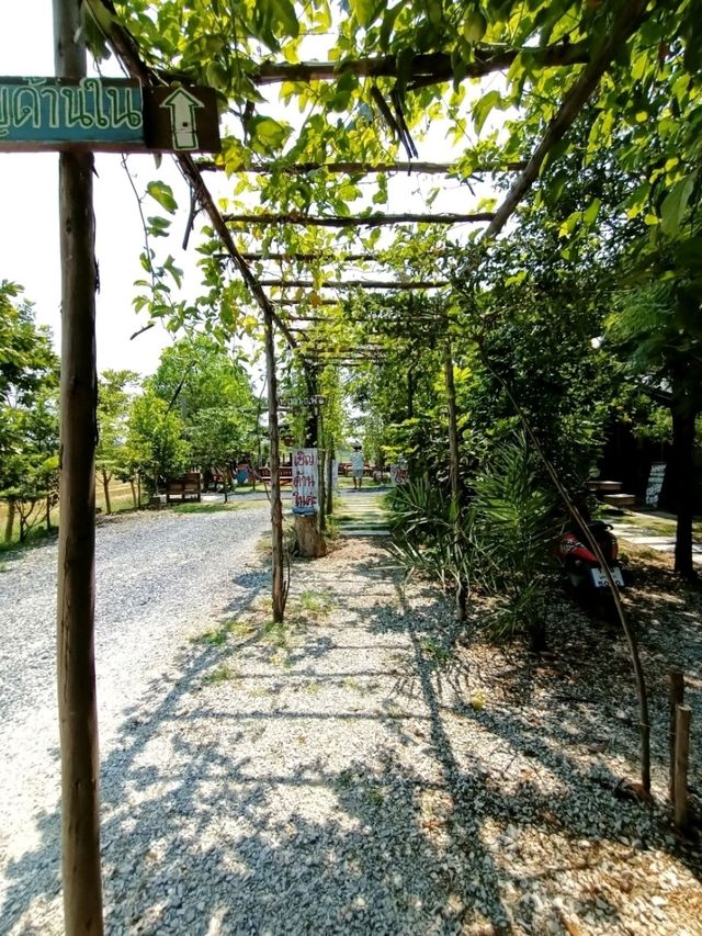 ร้านอาหารบรรยากาศดีย่านนครนายก