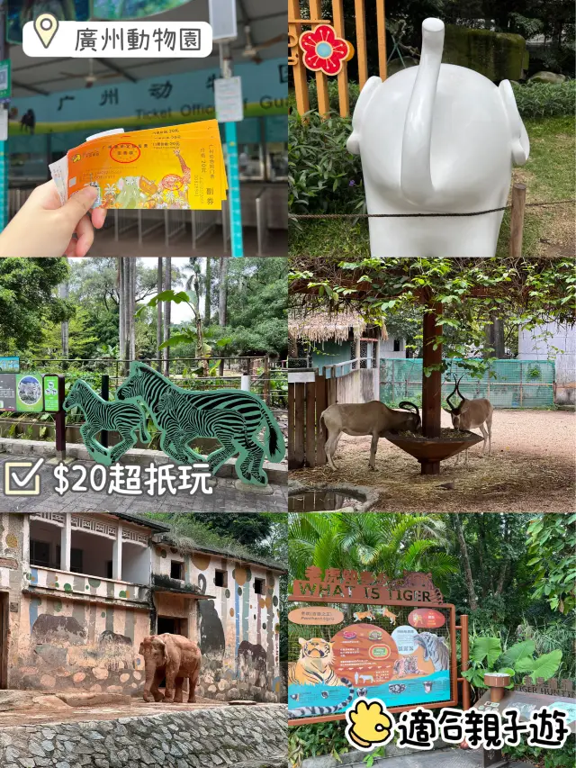 廣州市內親子遊第一推介❣️廣州動物園🥳