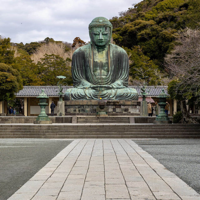 「鎌倉大佛」高德院，20日圓參觀佛像內部