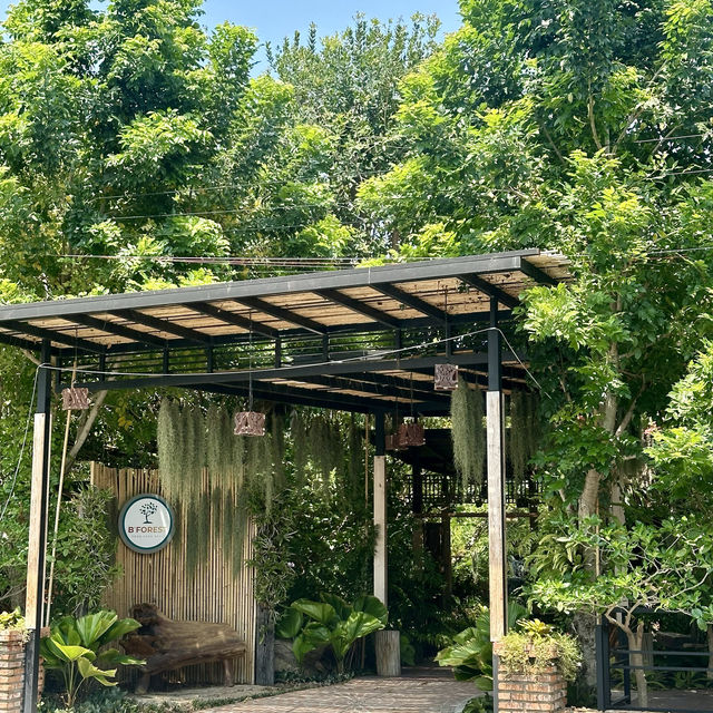 B forest Cafe 🌳🌿 คาเฟ่ในสวน เปิดใหม่ ระยอง