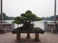 Ngoc Son Temple