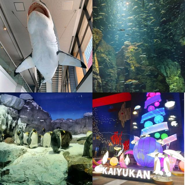 【大阪】日本最大水族館，必去景點