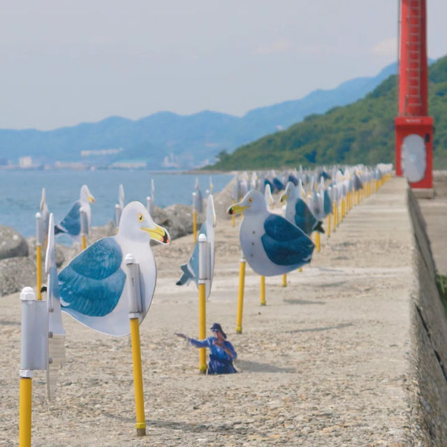 圓月島：壯闊海景，難忘旅行回憶