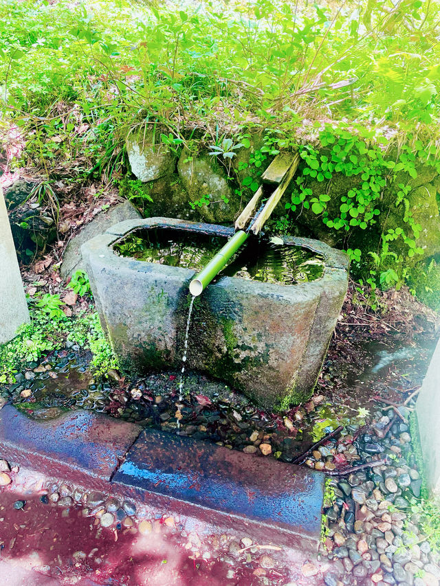 【長野県/戸隠神社の五社のうちの一社『戸隠神社 九頭龍社』