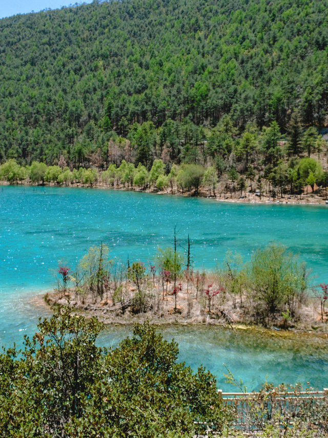 หุบเขาพระจันทร์สีน้ำเงิน Blue Moon Valley