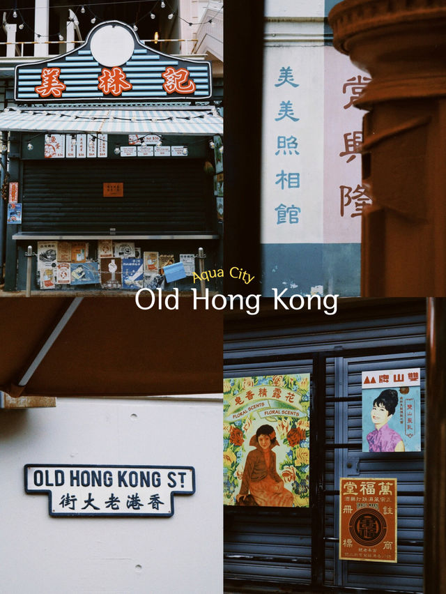 香港｜去🇭🇰海洋公園一定要看這篇全攻略‼️
