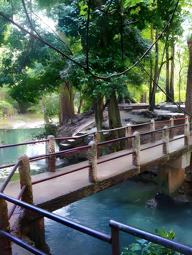 💦 สัมผัสธรรมชาติ น้ำผุดปากช่อง 