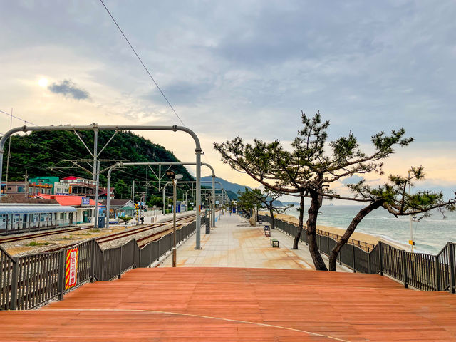 정동진역...