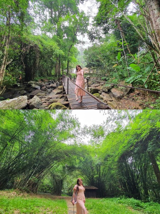 น้ำตกศรีดิษฐ์ ม่านน้ำอันงดงาม ในเพชรบูรณ์✨