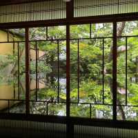 【京都：烏丸御池】有形文化財で楽しむ華わらび