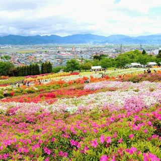 Sakurakoen Park's Two Major Flower Viewing Spots