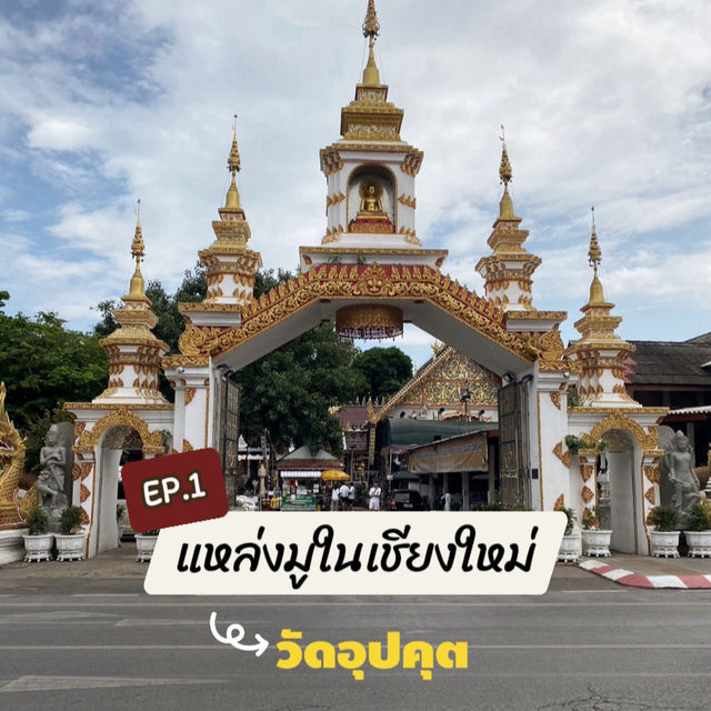 สายมูห้ามพลาด‼️ พามู EP.1