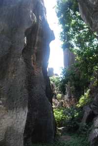 Stone Forest, The Wonder under the Heaven