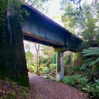 Lilydale Falls