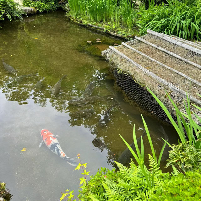 「清水觀音堂」- 神聖莊嚴的建築藝術與寧靜祥和的庭園景緻，探索東京神道文化的重要目的地