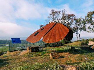 Jim Newman's Lookout