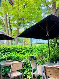 IVY PLACE