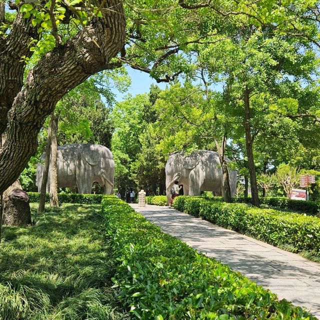 初夏遊南京，漫步明孝陵