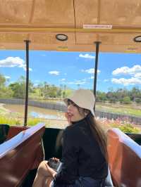 【美國旅行🧳】聖地亞哥動物園打卡！