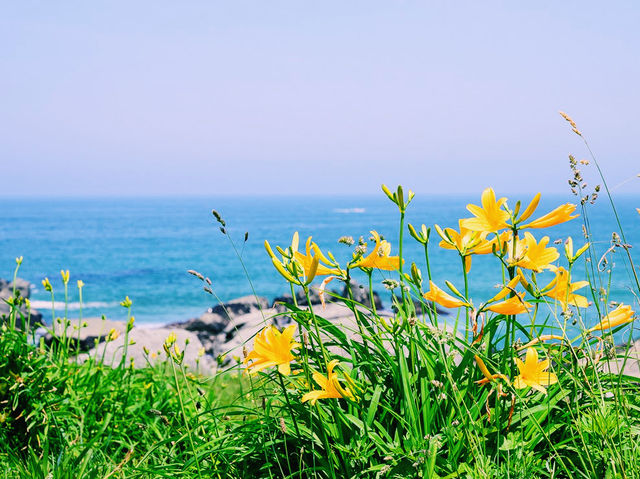 Tanesashi Coast Natural Lawn