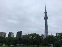 漫步隅田公園：東京都市中的綠意與壯麗景觀