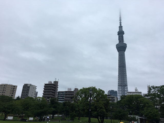 漫步隅田公園：東京都市中的綠意與壯麗景觀